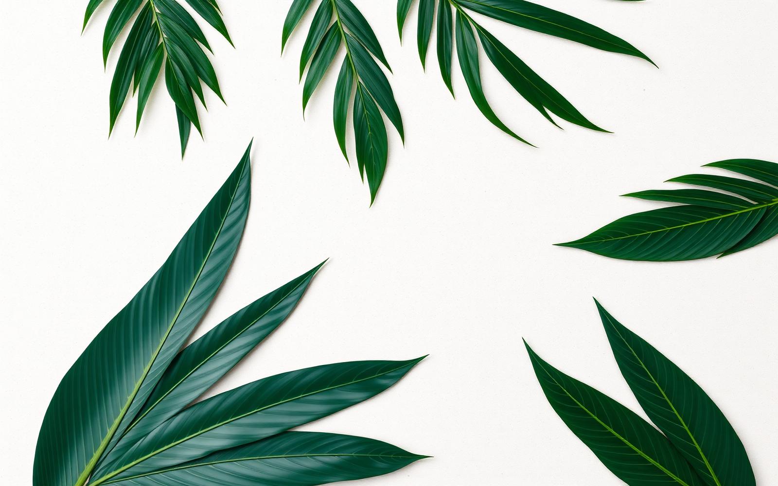 Tropical palm fronds on soft sand background